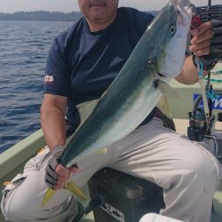 気仙沼　つり丸 釣果