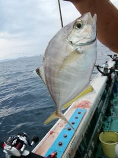 松福丸 釣果