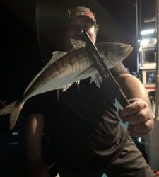 愛海丸 釣果