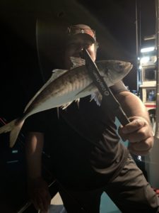 愛海丸 釣果
