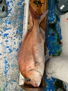 幸吉丸 釣果