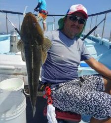 東京湾探釣隊ぼっち 釣果