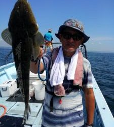 東京湾探釣隊ぼっち 釣果
