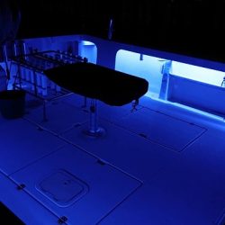 フィッシングボートACE(エース) 釣果