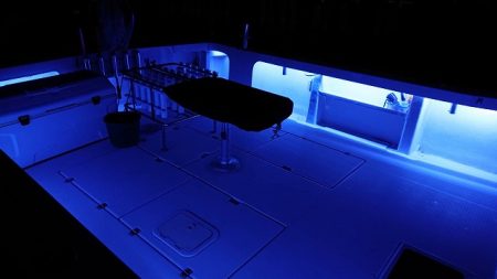 フィッシングボートACE(エース) 釣果