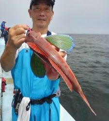 東京湾探釣隊ぼっち 釣果
