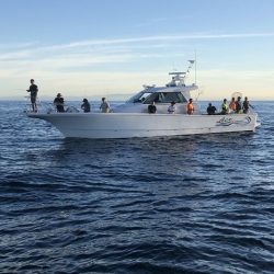 フィッシングボートACE（エース） 釣果