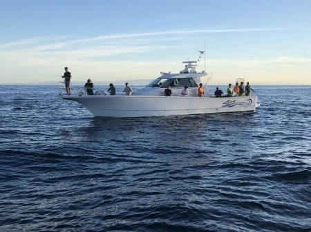 フィッシングボートACE(エース) 釣果