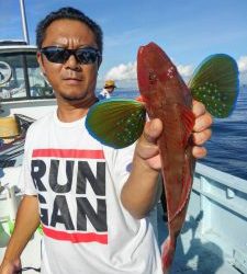 東京湾探釣隊ぼっち 釣果