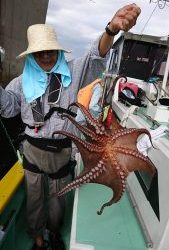 KONAYAーMARU(こなや丸) 釣果