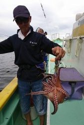 KONAYAーMARU(こなや丸) 釣果