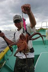 KONAYAーMARU(こなや丸) 釣果