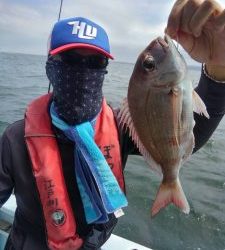 東京湾探釣隊ぼっち 釣果