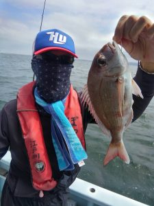 東京湾探釣隊ぼっち 釣果