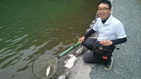 フィッシングエリア帝釈 釣果