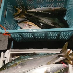 魁皇 釣果
