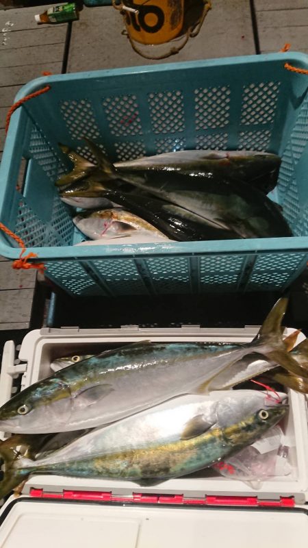 魁皇 釣果