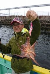 KONAYAーMARU(こなや丸) 釣果