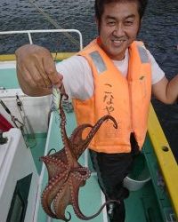 KONAYAーMARU(こなや丸) 釣果