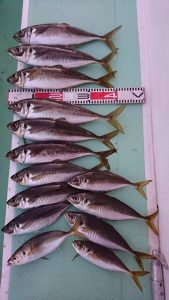 ＫＯＮＡＹＡｰＭＡＲＵ（こなや丸） 釣果