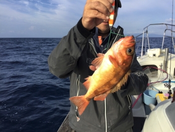 鯛紅丸 釣果