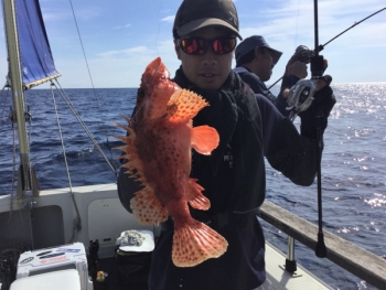 鯛紅丸 釣果