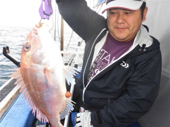 鯛紅丸 釣果
