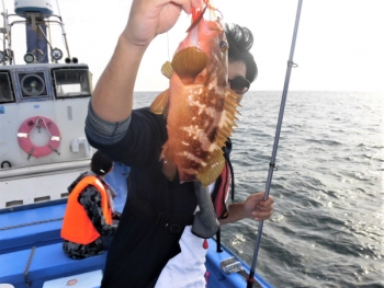 鯛紅丸 釣果