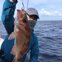 鯛紅丸 釣果