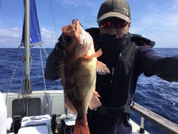 鯛紅丸 釣果