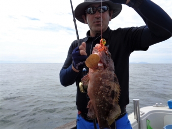 鯛紅丸 釣果