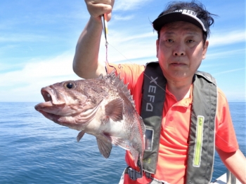 鯛紅丸 釣果