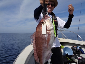 鯛紅丸 釣果