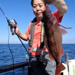 鯛紅丸 釣果