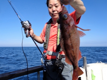 鯛紅丸 釣果