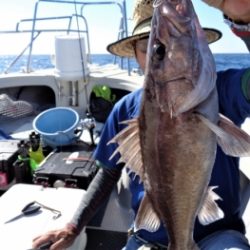 鯛紅丸 釣果
