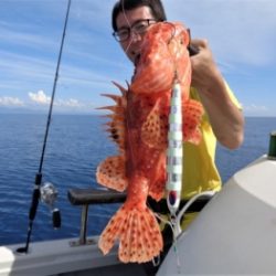 鯛紅丸 釣果