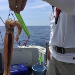鯛紅丸 釣果
