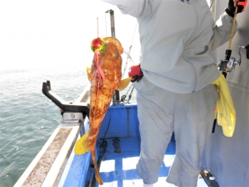 鯛紅丸 釣果