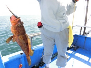 鯛紅丸 釣果
