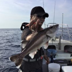 鯛紅丸 釣果