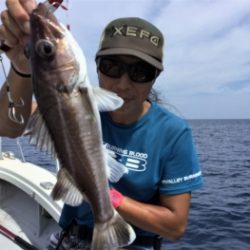 鯛紅丸 釣果