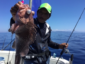 鯛紅丸 釣果