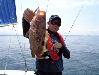 鯛紅丸 釣果