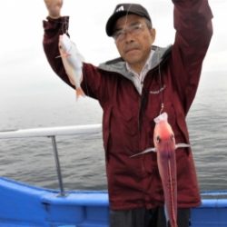 鯛紅丸 釣果