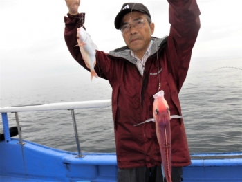 鯛紅丸 釣果