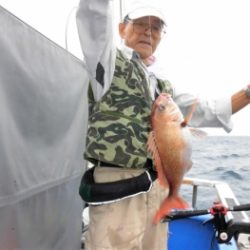 鯛紅丸 釣果