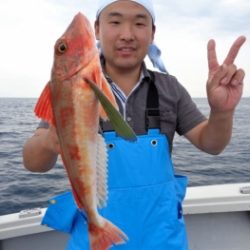 鯛紅丸 釣果