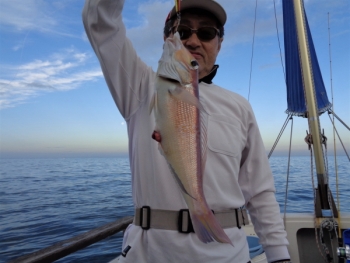 鯛紅丸 釣果