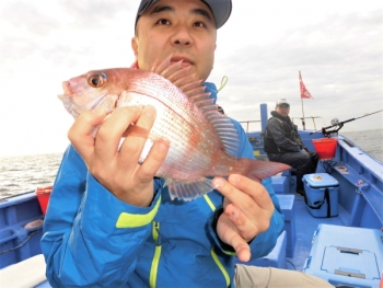 鯛紅丸 釣果